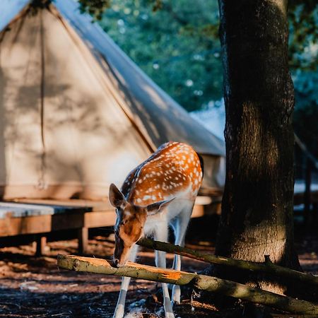 Hotel Amani - Aap Lichtaart Zewnętrze zdjęcie